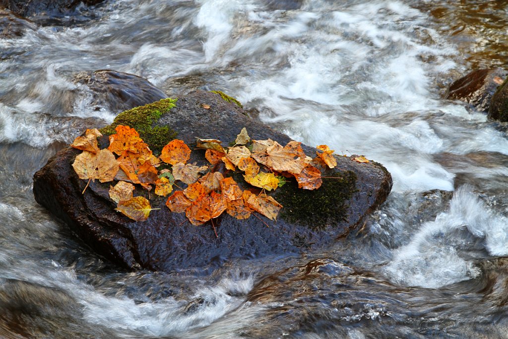 photo "***" tags: landscape, autumn