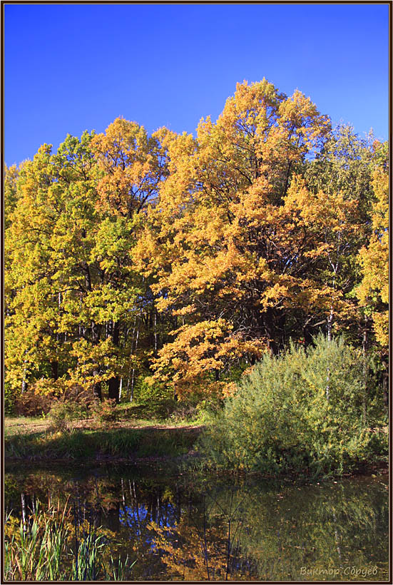 photo "***" tags: landscape, autumn