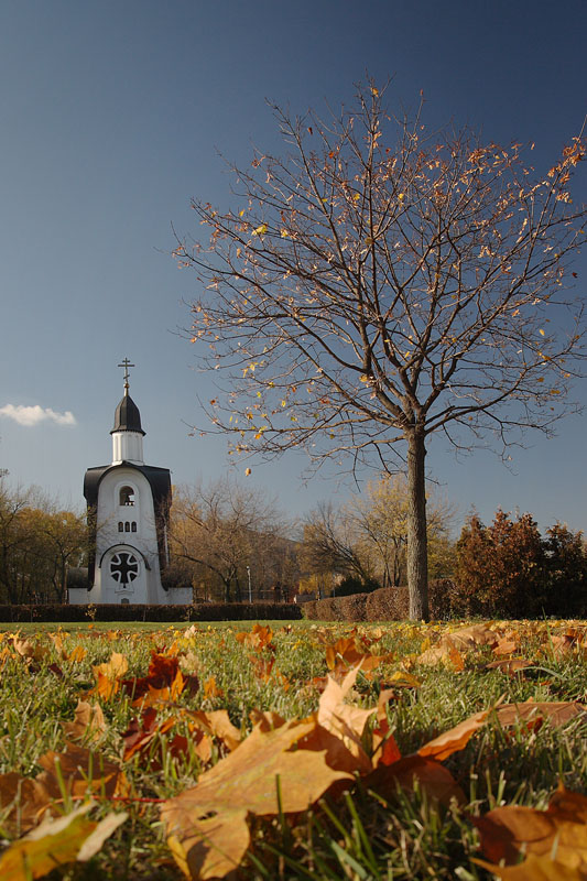 photo "***" tags: landscape, autumn