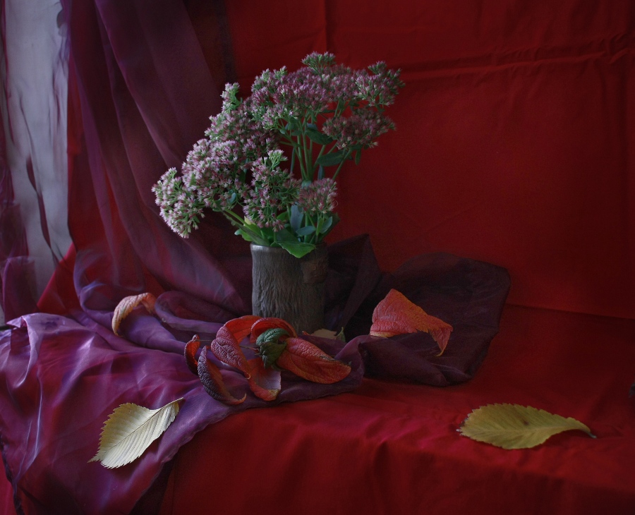 photo "***" tags: still life, 