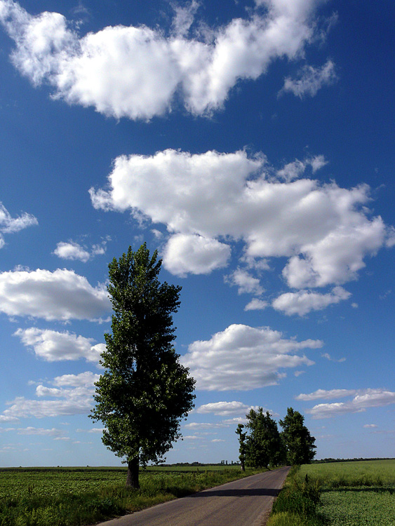 photo "Way through the plains / Путь через равнины" tags: landscape, blue, clouds, field, road, spring