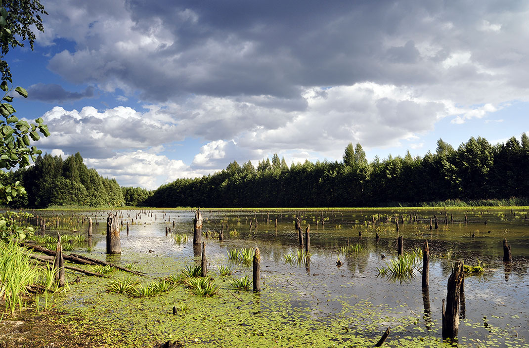 photo "***" tags: landscape, summer, water