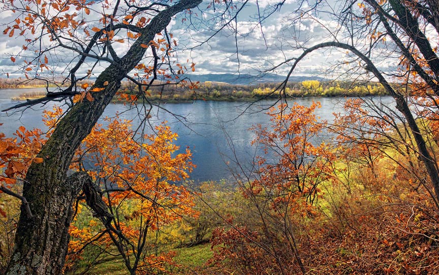 фото "догорает" метки: пейзаж, осень