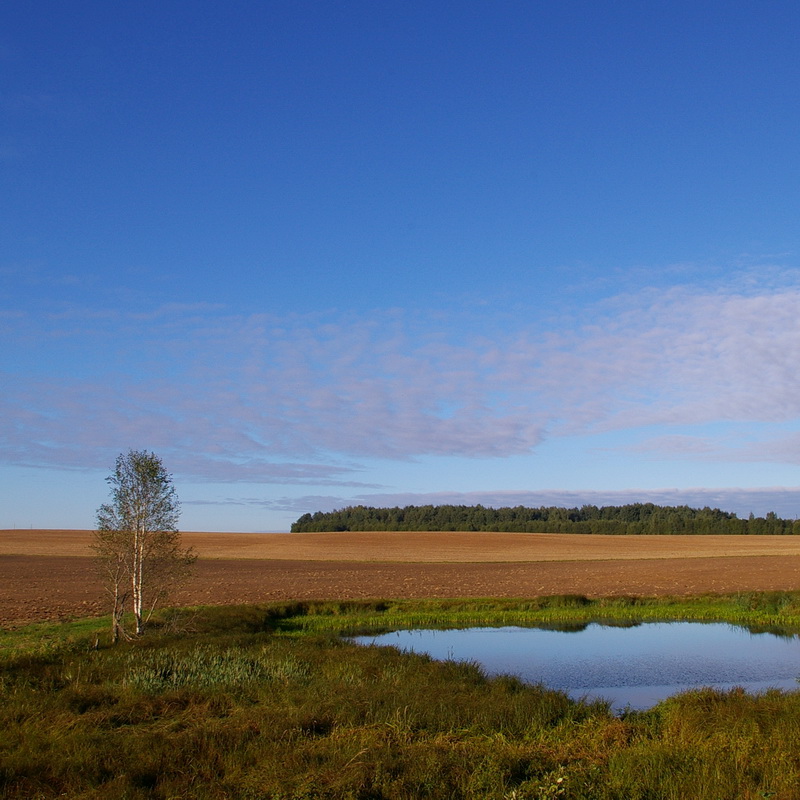 photo "***" tags: landscape, 
