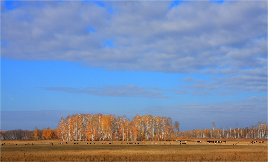 фото "***" метки: пейзаж, осень