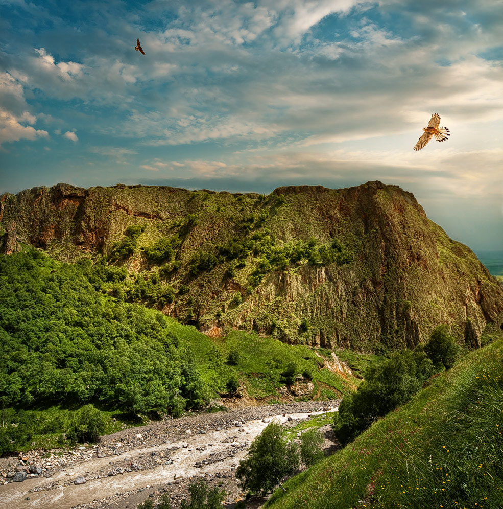 фото "Орлы прилетели" метки: пейзаж, горы