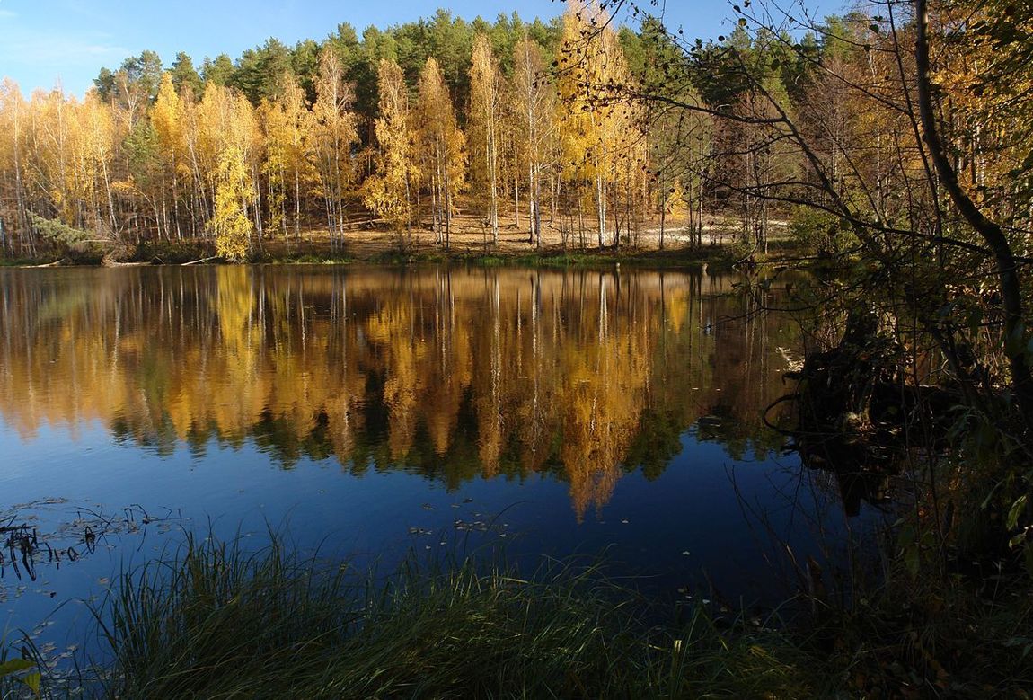 photo "***" tags: landscape, autumn