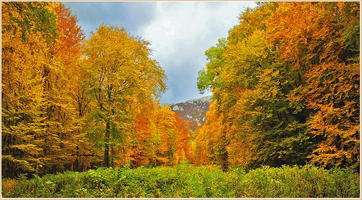 фото "На перевале" метки: пейзаж, осень