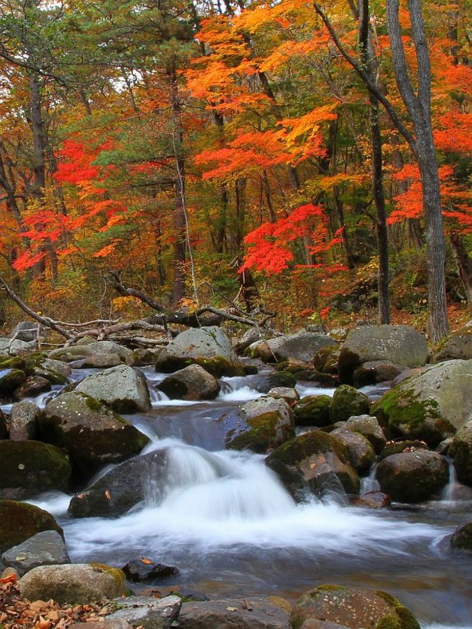 photo "***" tags: landscape, autumn