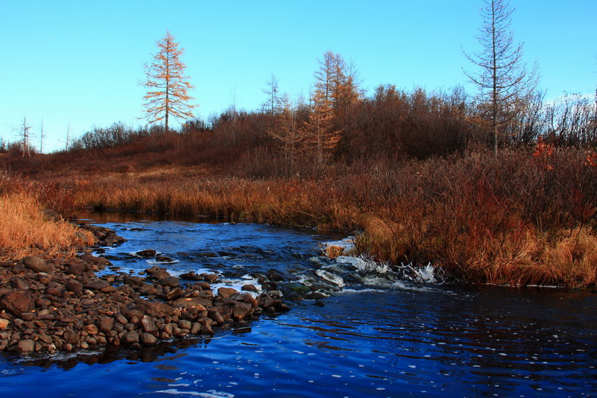 photo "***" tags: landscape, autumn