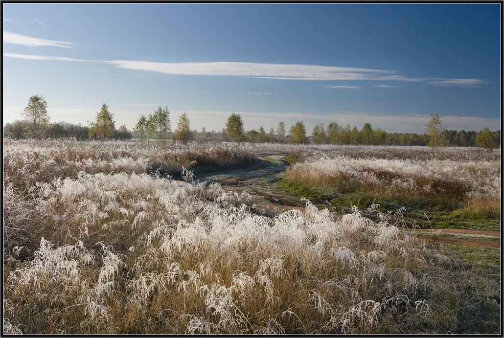 фото "Серебрянное утро" метки: пейзаж, осень