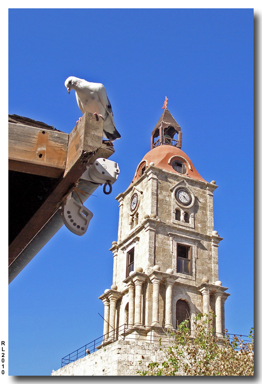 photo "Two birds" tags: architecture, nature, landscape, wild animals