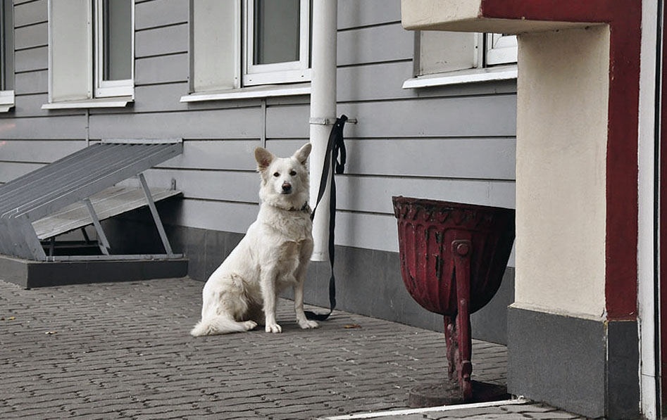 photo "devotion" tags: genre, 