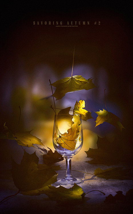 фото "Savoring autumn #2" метки: натюрморт, 