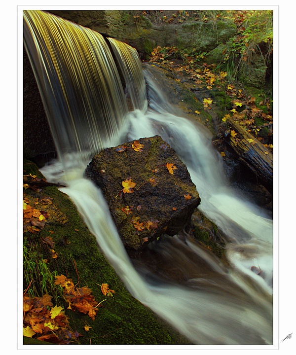 photo "spilled Autumn" tags: landscape, forest