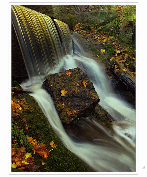 фото "spilled Autumn" метки: пейзаж, лес