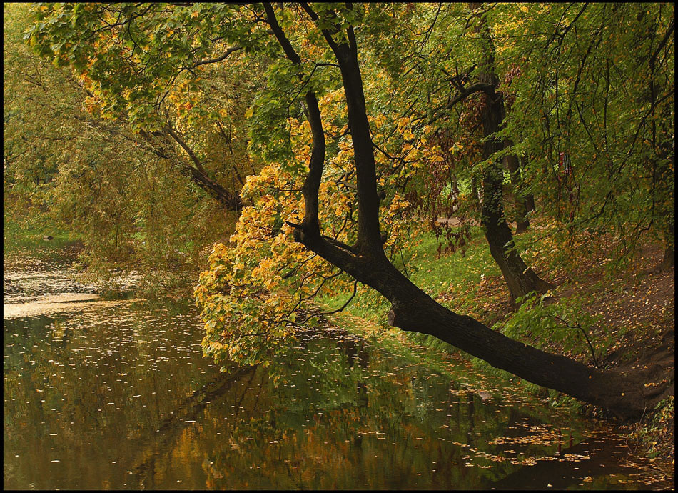 фото "Осень в Лефортово" метки: пейзаж, осень