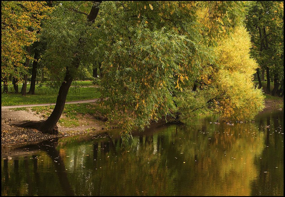 photo "***" tags: landscape, autumn