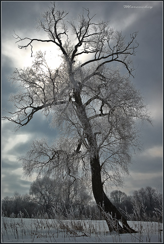 фото "Февраль" метки: пейзаж, зима