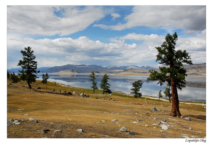 photo "The nature and boundless spaces of Mongolia" tags: landscape, travel, Asia