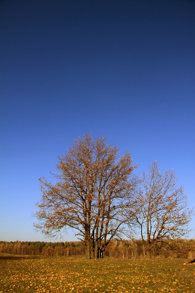 photo "***" tags: landscape, autumn