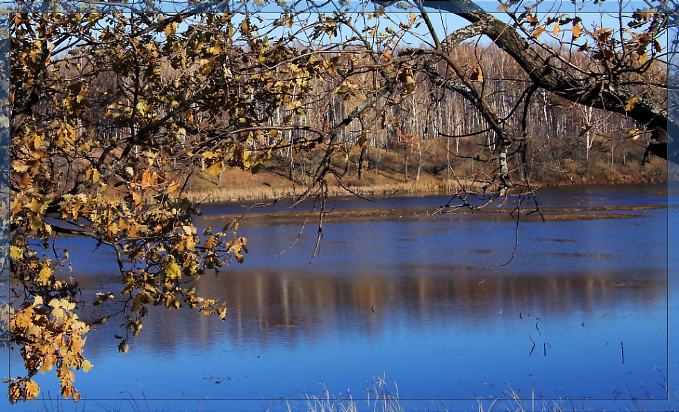 photo "***" tags: landscape, autumn