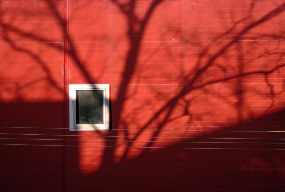 photo "Shadows" tags: abstract, fragment, 