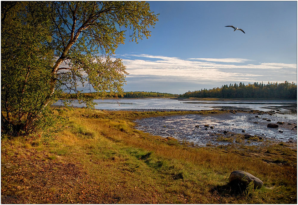 photo "White sea. Gulf Kislaya" tags: landscape, autumn, water