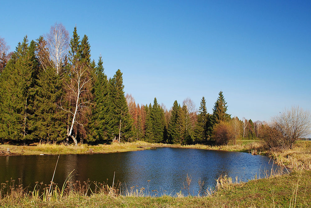 photo "***" tags: landscape, forest, water