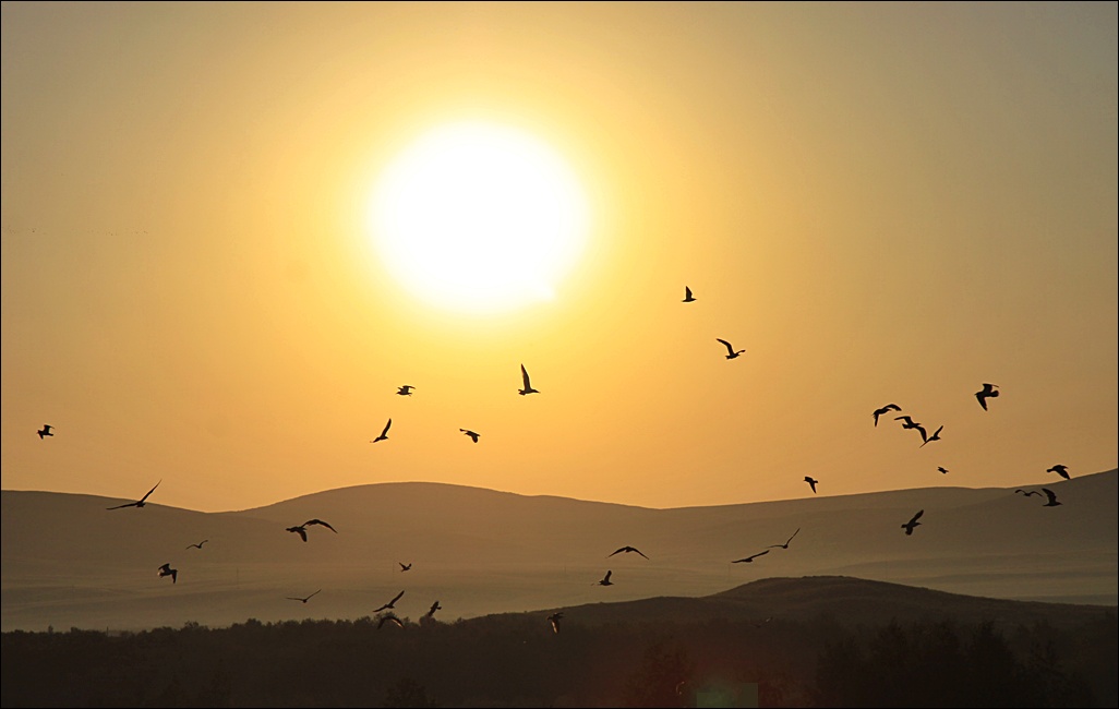 photo "***" tags: landscape, summer, sunset