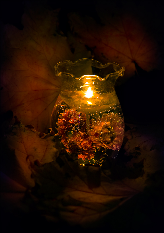 photo "Autumn magic" tags: still life, abstract, 