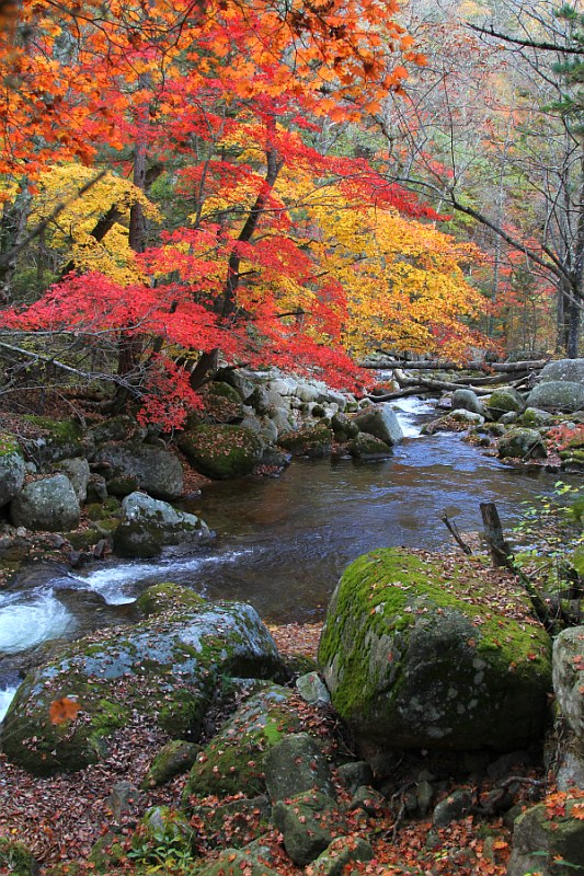 фото "Поворот реки" метки: пейзаж, осень