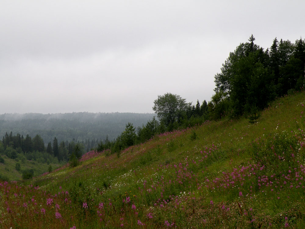 photo "***" tags: landscape, autumn