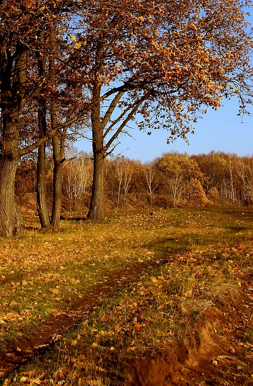 photo "***" tags: landscape, autumn