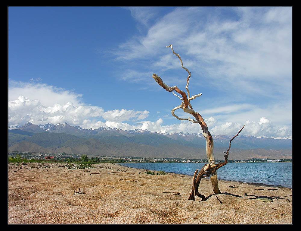 photo "***" tags: landscape, summer