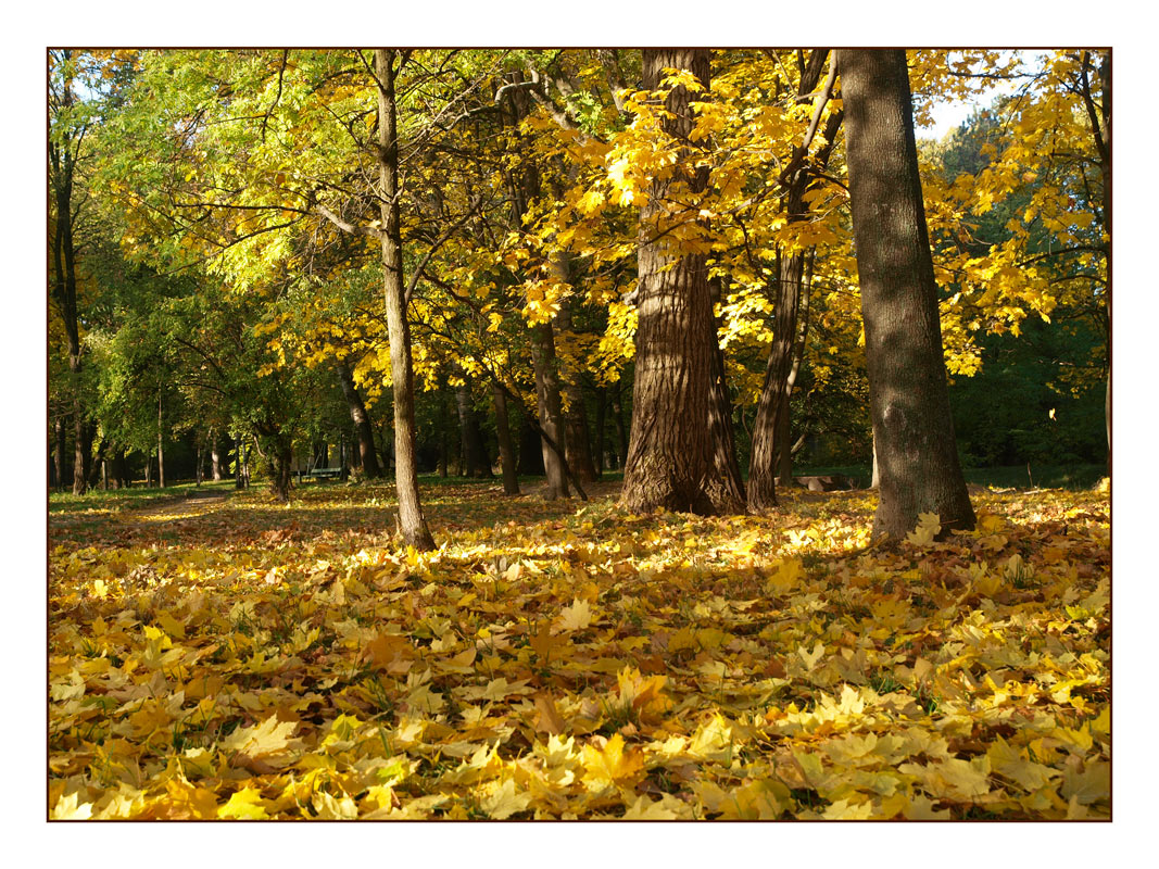 photo "***" tags: landscape, autumn