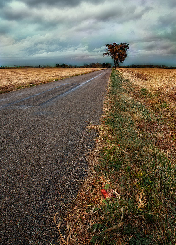 photo "Storm Brewing" tags: landscape, autumn