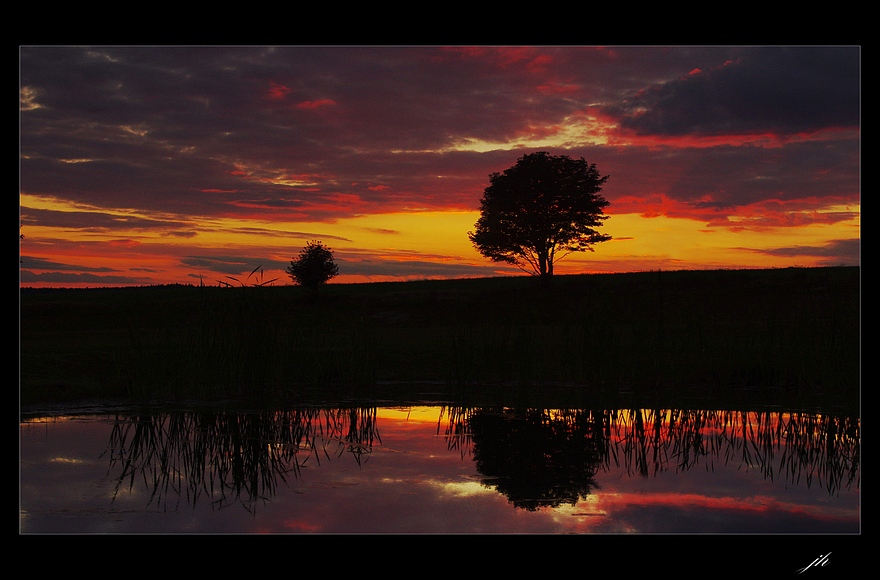 photo "reflection" tags: landscape, summer