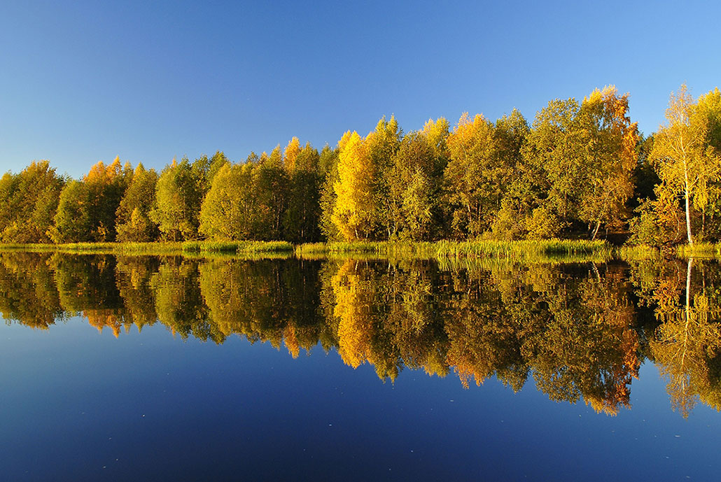 фото "Зеркало" метки: пейзаж, вода, осень