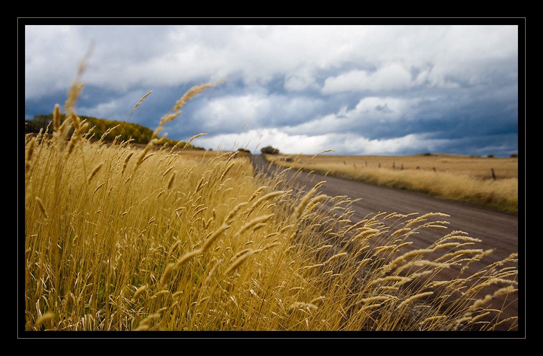 photo "***" tags: landscape, autumn