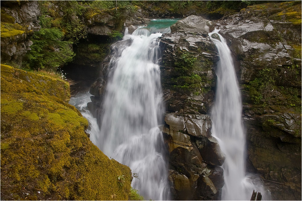 photo "White flowers" tags: landscape, travel, water