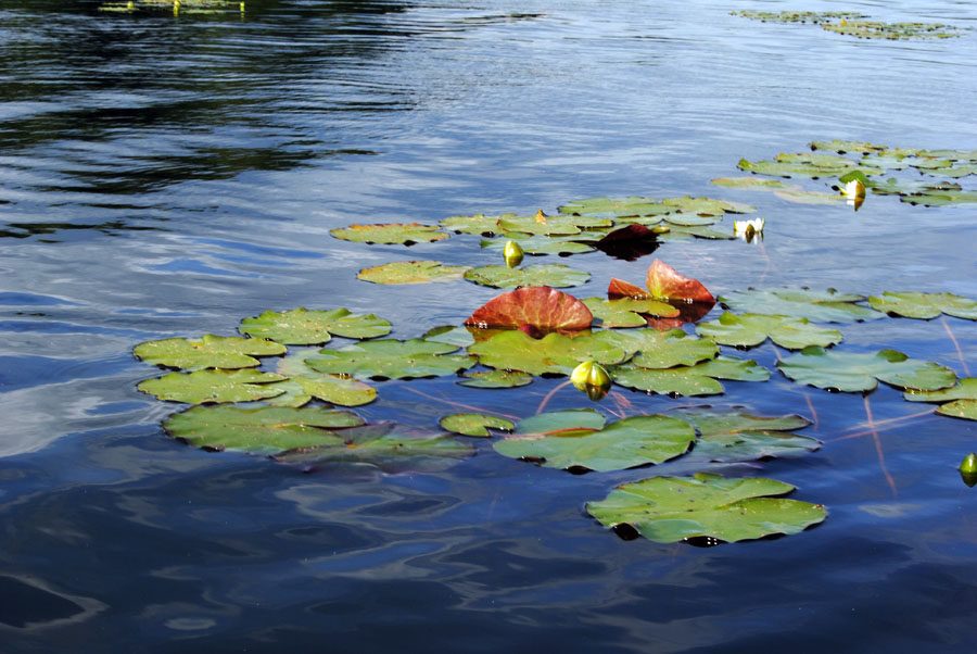 photo "***" tags: landscape, water, winter