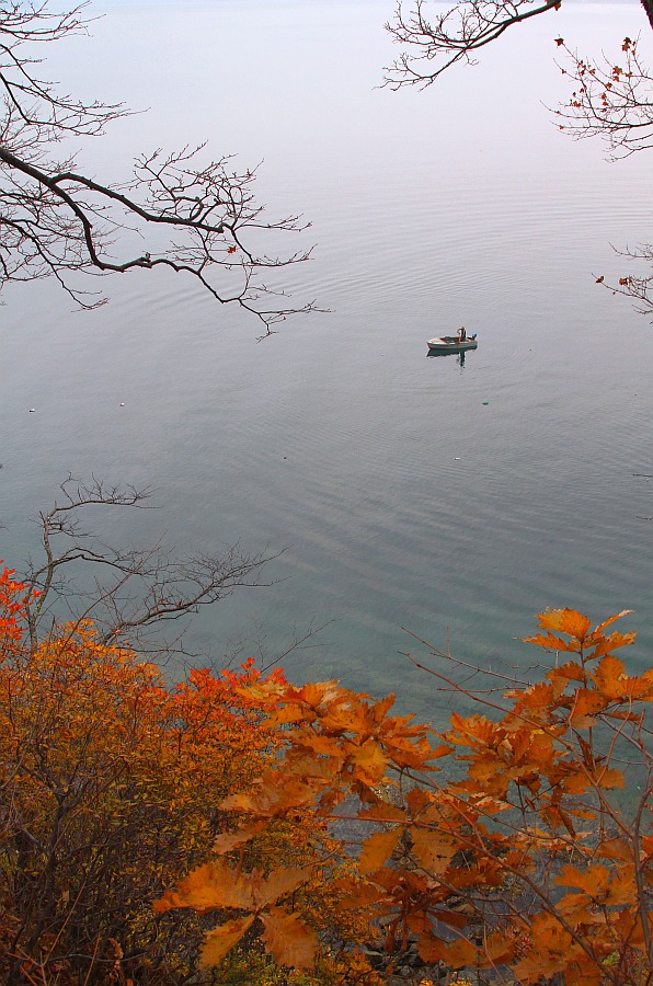 photo "***" tags: landscape, autumn