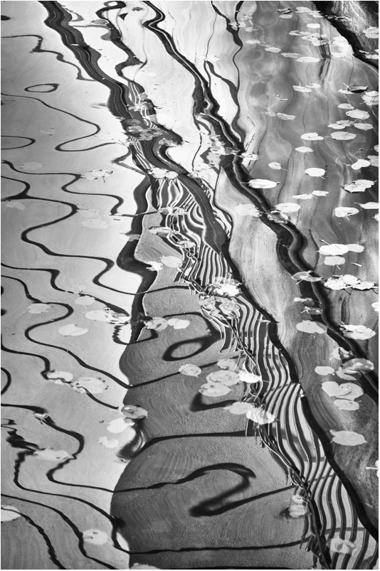 photo "***" tags: abstract, black&white, 
