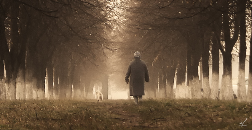 photo "In the fog" tags: genre, city, 
