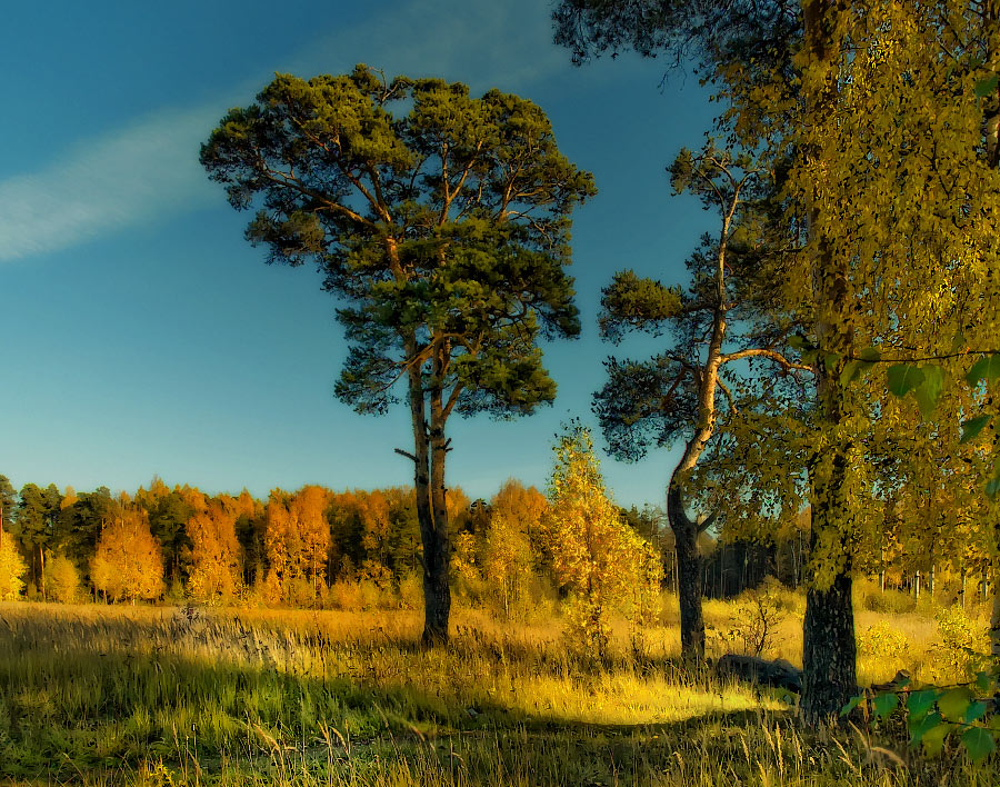 photo "***" tags: landscape, autumn