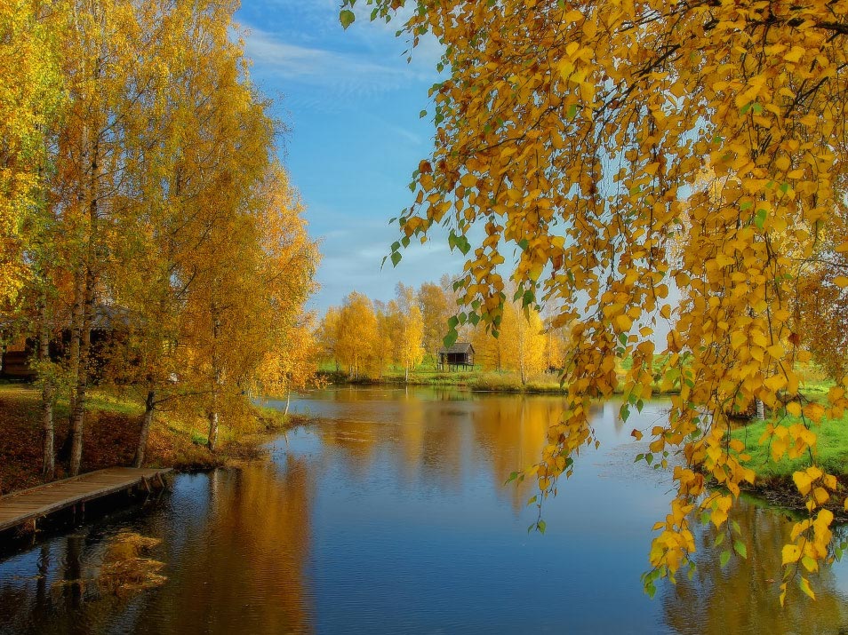 фото "Золото осени" метки: пейзаж, осень