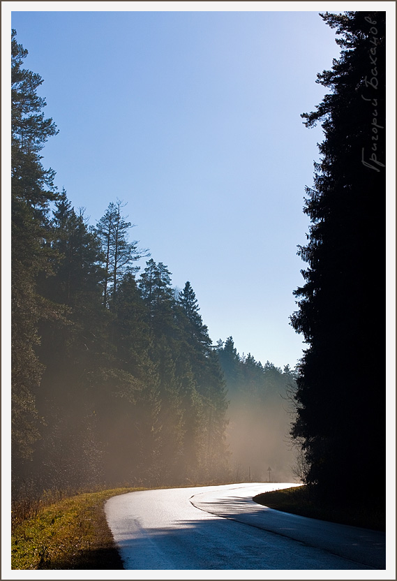 photo "***" tags: landscape, autumn, forest
