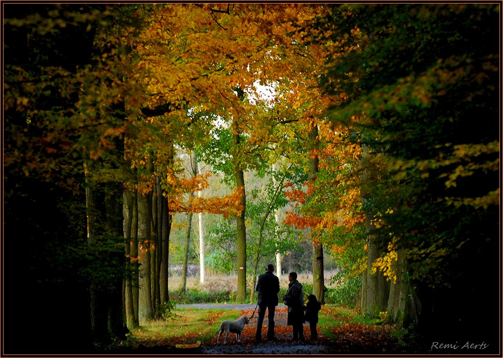 photo "autumn walk" tags: landscape, nature, autumn, flowers