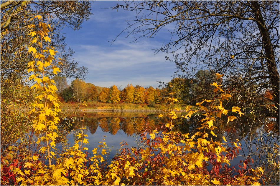 photo "***" tags: landscape, autumn